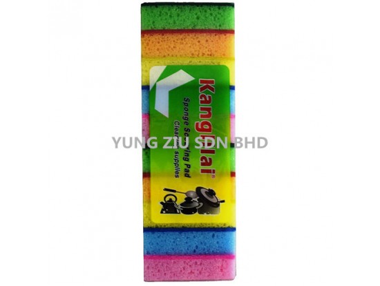 (10PCS/PACK)10PCS SPONGE SCOURING PAD(KANGLILAI)